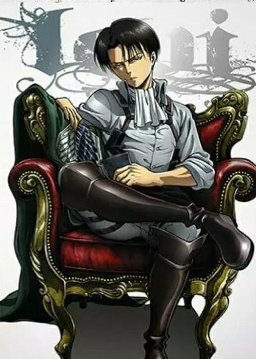 Attack On Titan Levi Canvas Poster Without Frame Decoration