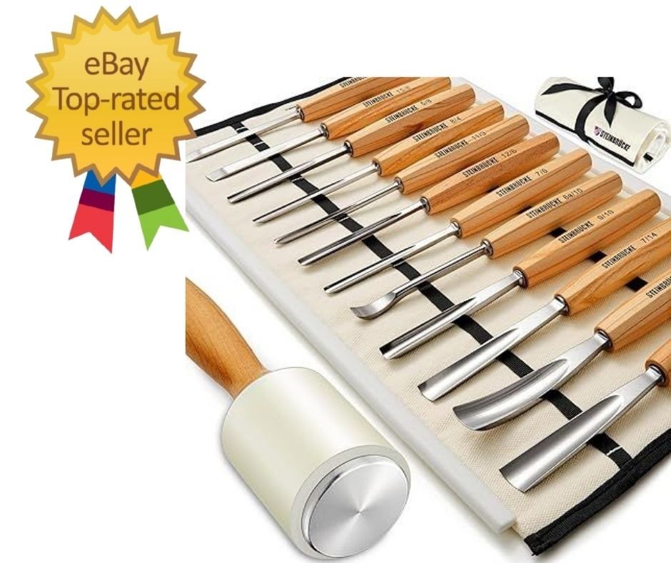 Wood Carving Kit, Wood Carving Tools Set of 12 Chisels and Wood Mallet with C…