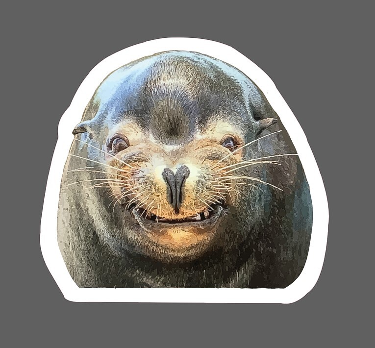 Seal Smile Sticker Smile Funny Waterproof – Buy Any 4 For $1.75 Each Storewide!
