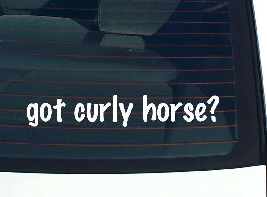 got curly horse? CAR DECAL BUMPER STICKER VINYL FUNNY JOKE WINDOW