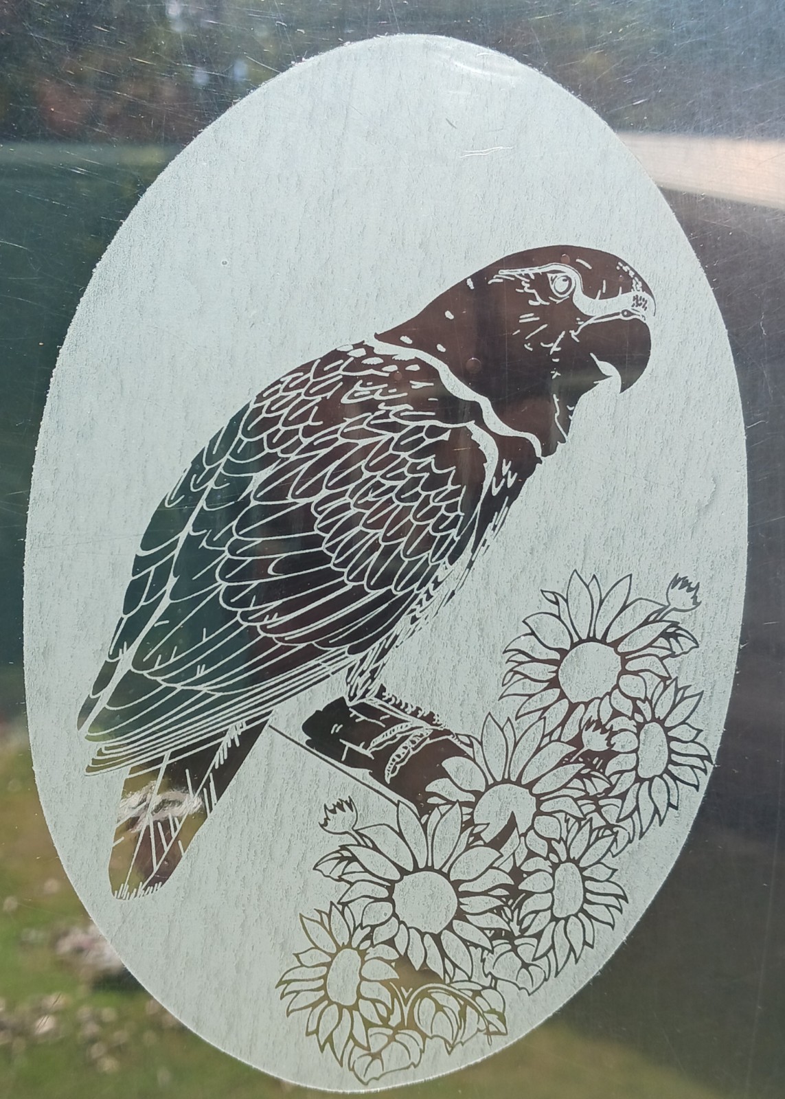 Parrot Window Decal 4″x6″ OVAL Etched Glass Look Cling Removable & Reusable 10