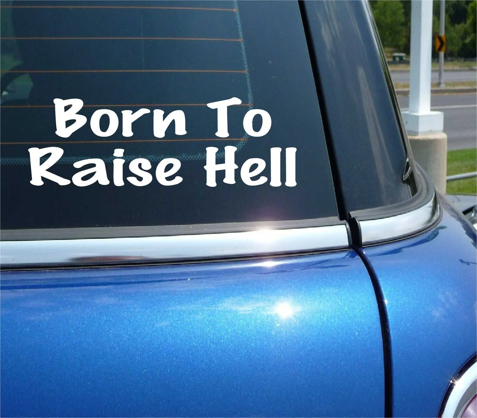 BORN TO RAISE HELL DECAL STICKER BAD ASS REBEL PARTY COLLEGE CAR TRUCK