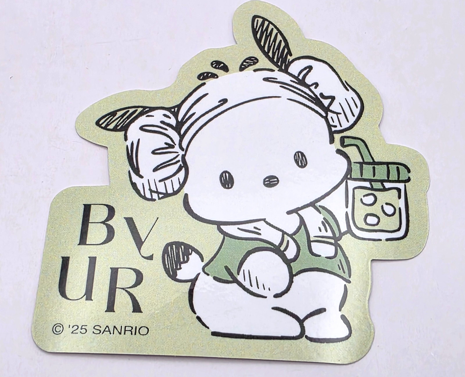 Sanrio Pochacco Vinyl Stickers Set of 3 Kawaii Laptop Phone Water Bottle