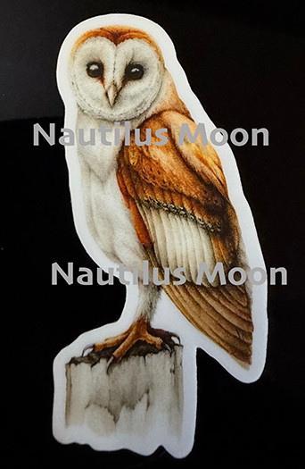 Barn Owl Vinyl Sticker Decal 2.5 x 1.25”