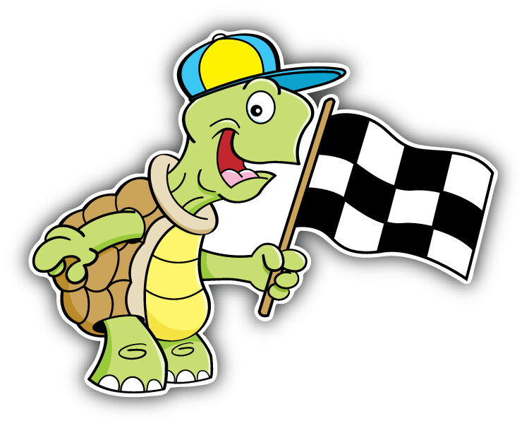 Turtle Checkered Flag Car Bumper Sticker Decal