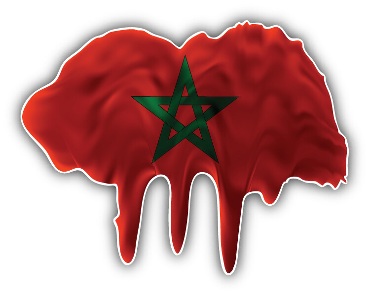 Morocco Flag Blot Car Bumper Sticker Decal