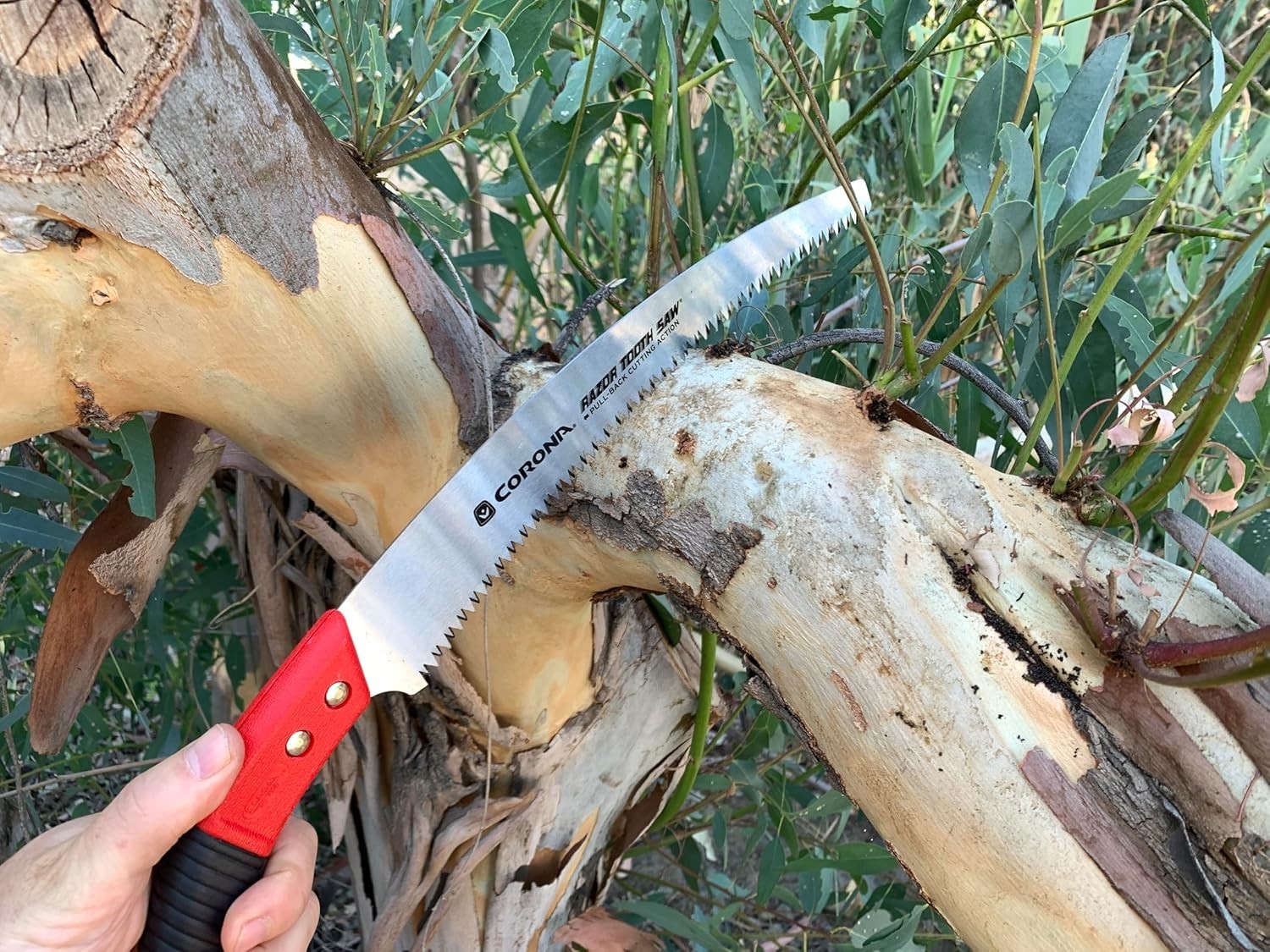 Tools 13-Inch RazorTOOTH Pruning Saw | Tree Saw Designed for Single-Hand
