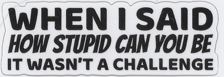 When I Said How Stupid Can You Be It Wasn’t a Challenge Vinyl Decal