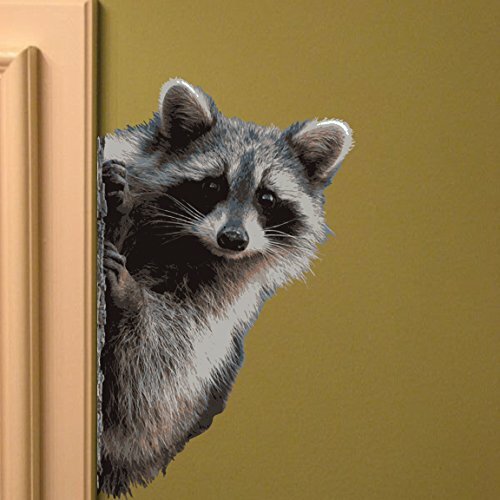 Raccoon Peering Around Wall Decal – 7″ wide x 11″ tall