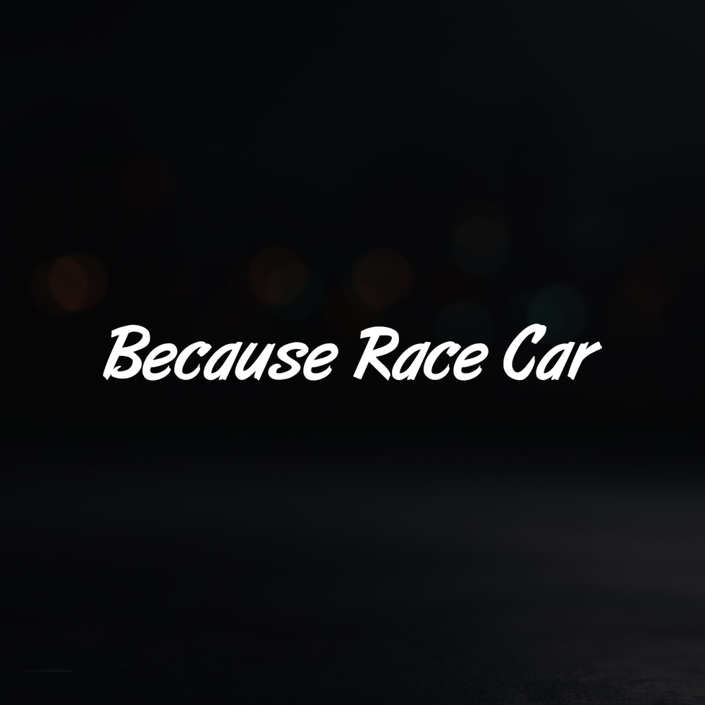 8in Vinyl Decal Sticker – “Because Race Car”