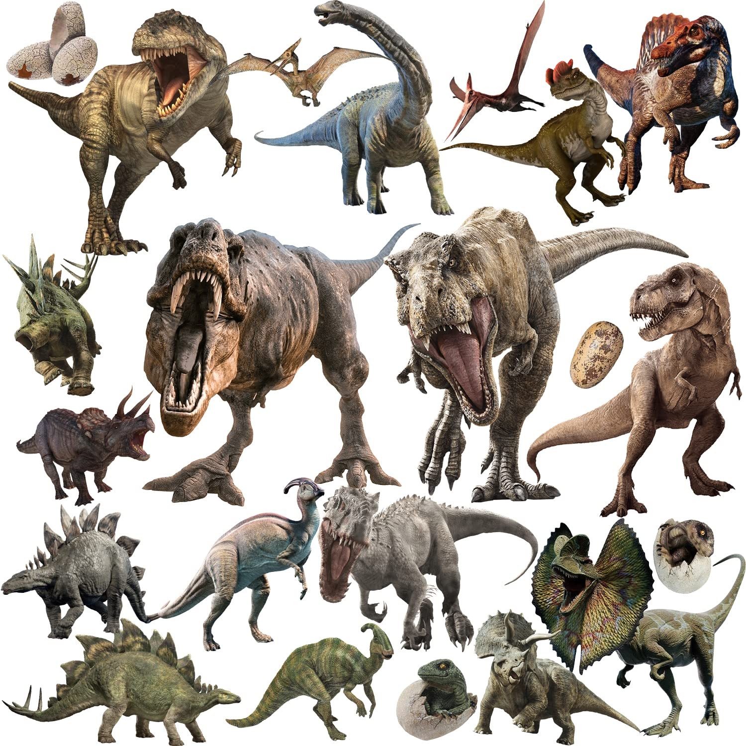 22 Dinosaur Wall Decals – Peel & Stick Removable Dinosaur Wall Stickers for B…