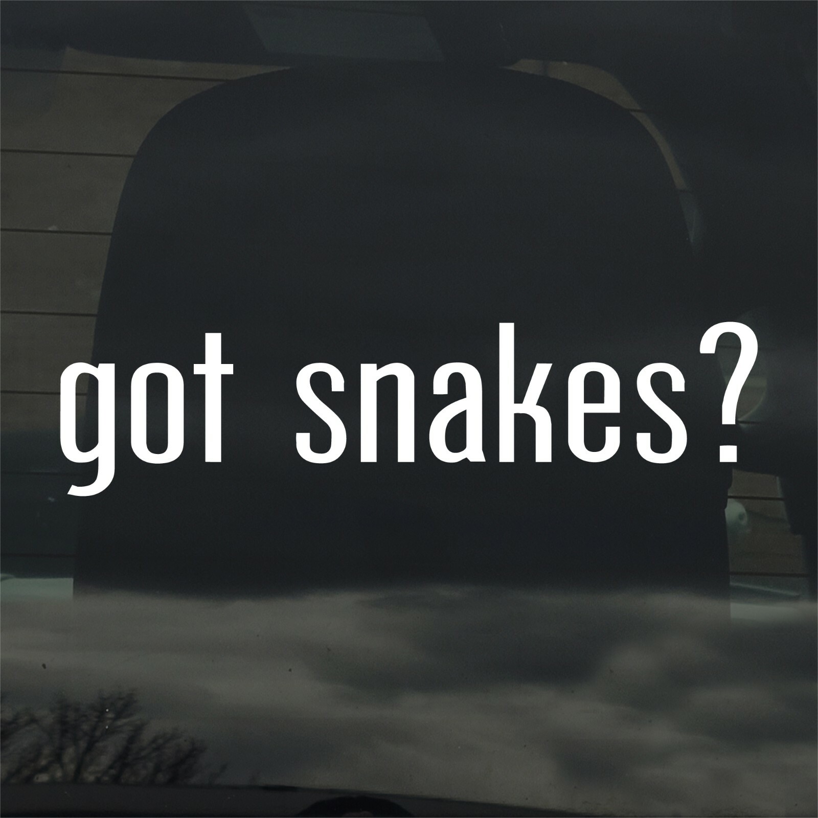 Got Snakes? Custom Vinyl Sticker / Decal Python, Boa, Reptiles, Exotic Pets