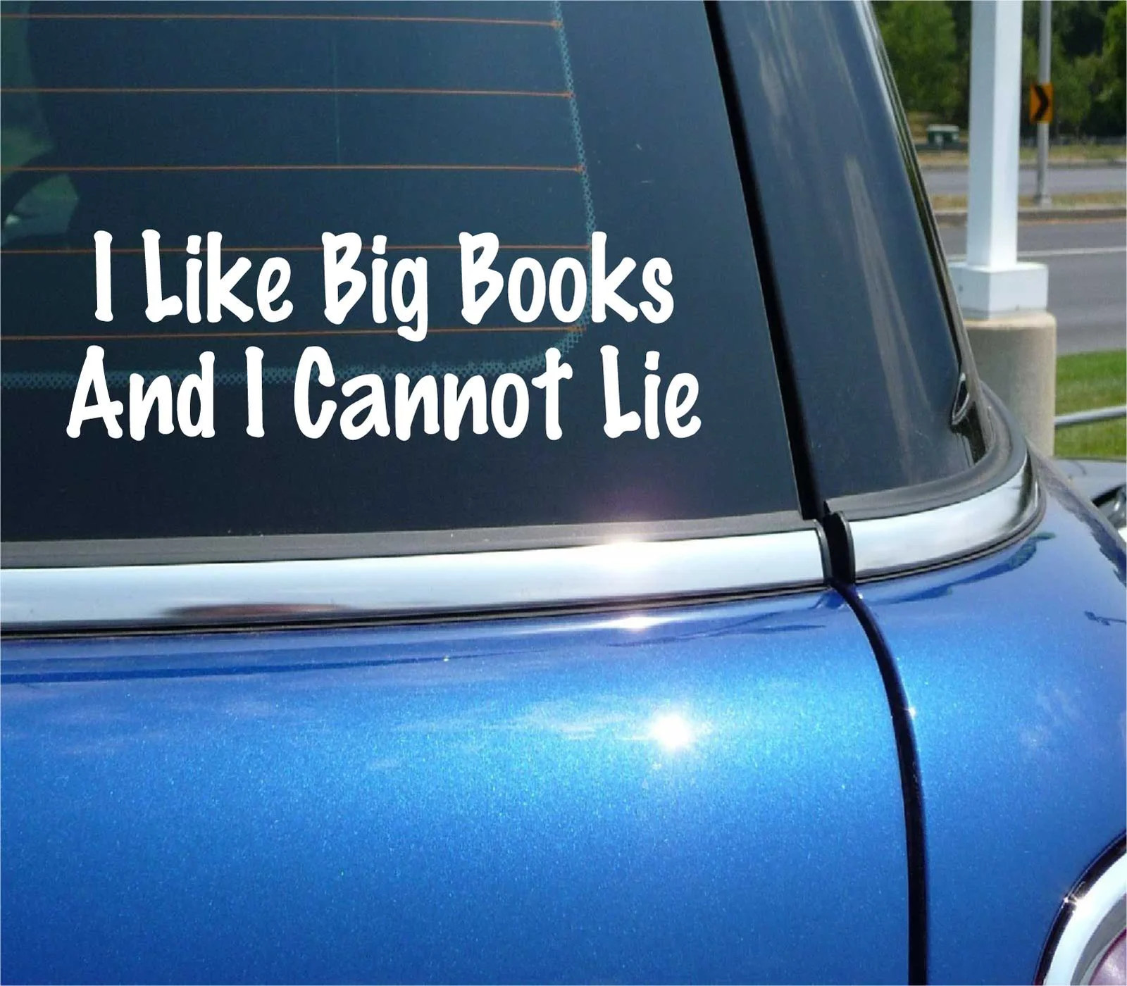 I LIKE BIG BOOKS AND I CANNOT LIE READING READ FUNNY DECAL STICKER CAR WALL