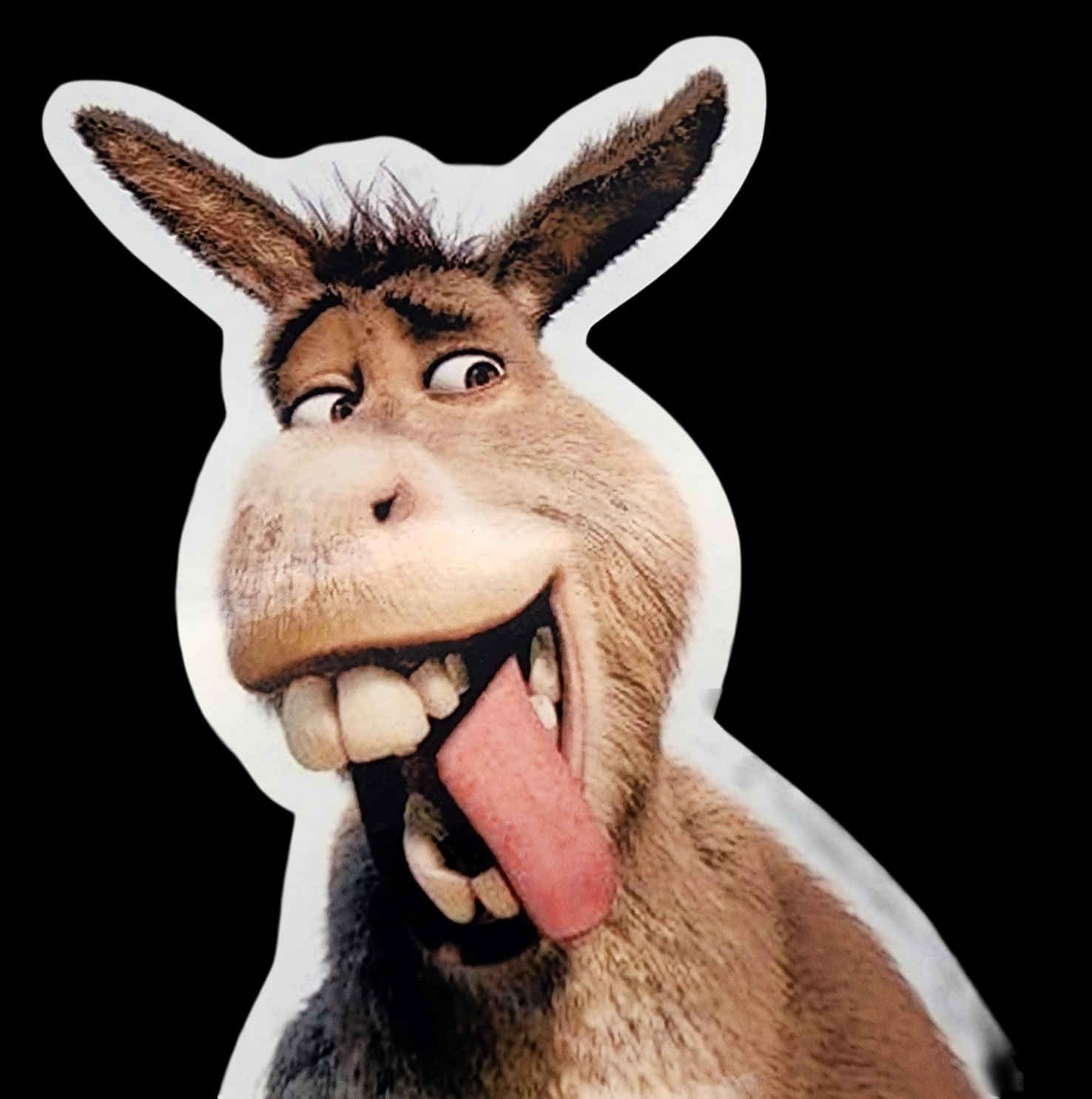 Shrek Donkey Inspired Waterproof Car Decal Poster Vinyl Sticker Cartoon Animal