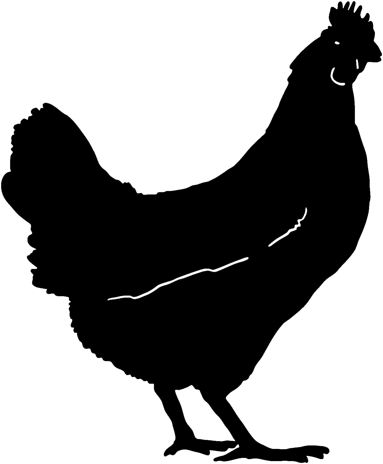 Chicken Hen Decal STB1 Window Graphics for Trucks or any smooth surfaces