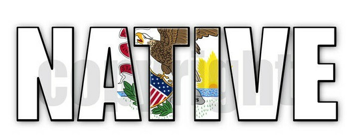 Illinois Native Flag Stickers Illinois Flag Decals Illinois Flag Stickers