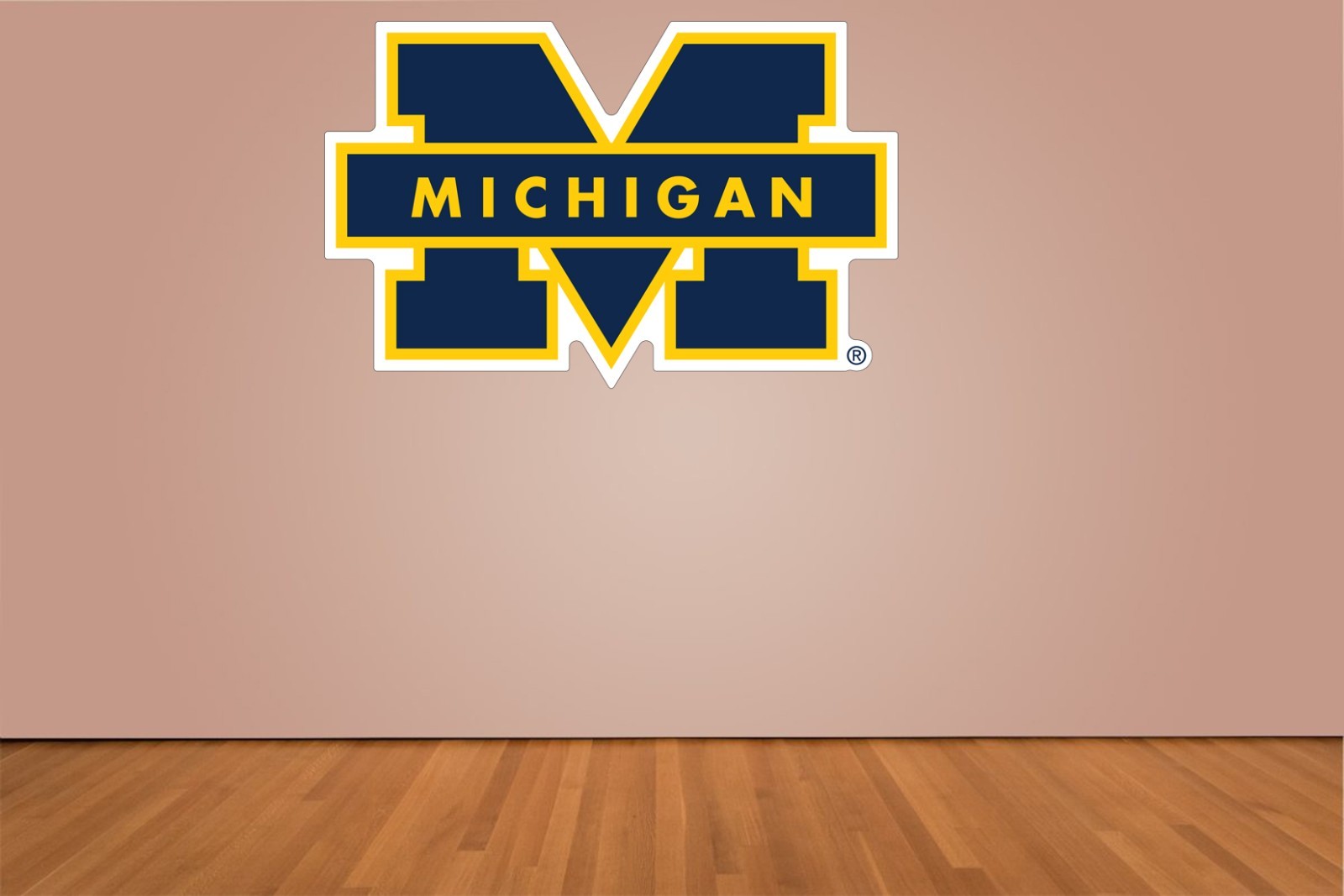University of Michigan Wolverines Indoor Wall Vinyl Decal Sticker 5 – 52″