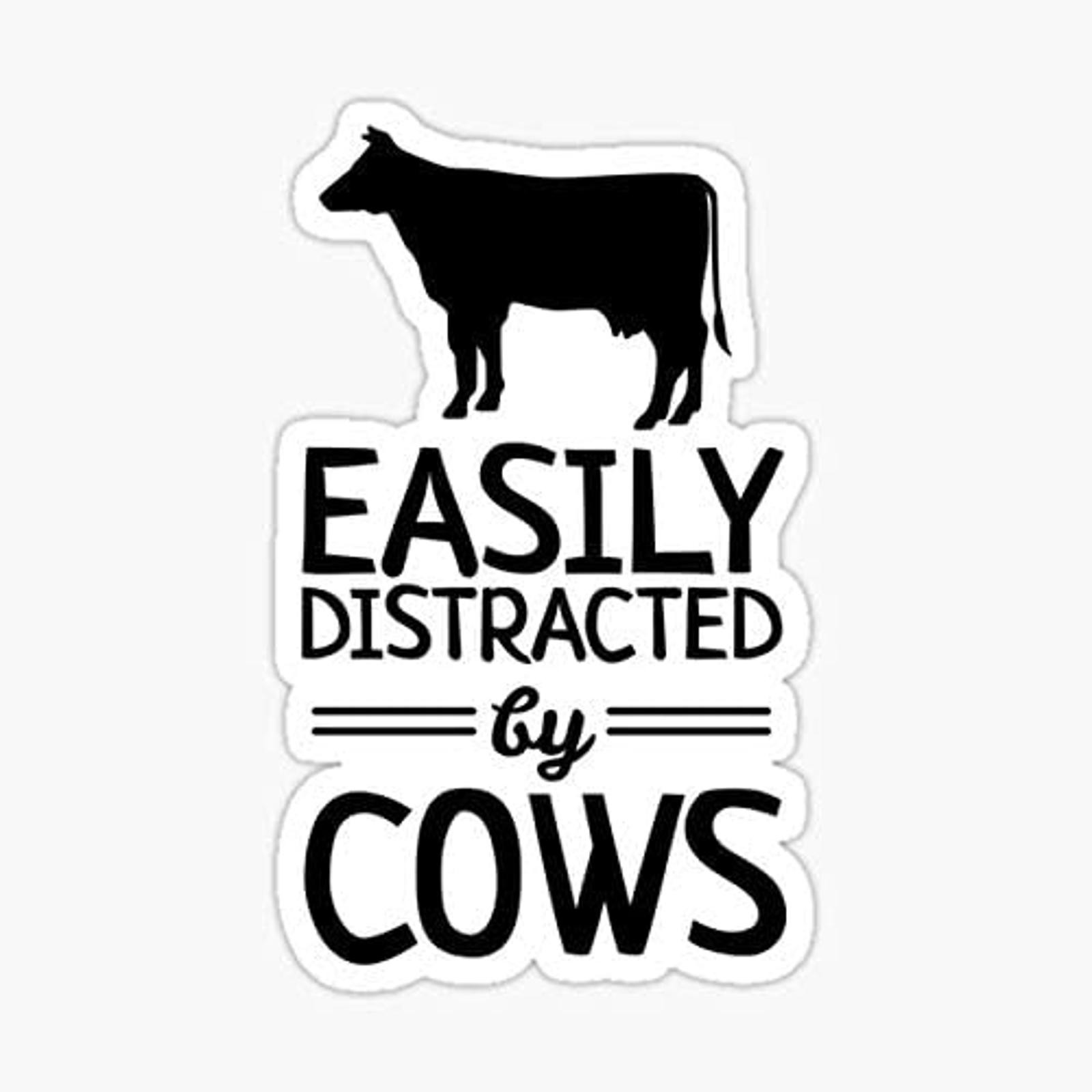 5″ Easily Distracted by Cows Vinyl Bumper Sticker