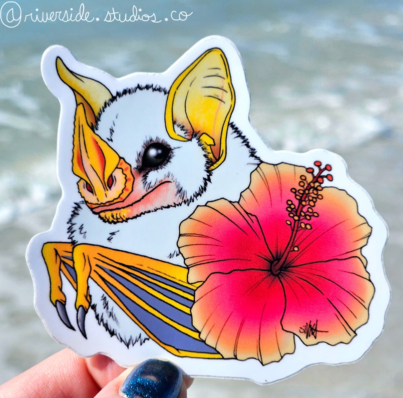 Honduran White Bat Vinyl Sticker 3″ Original Art Animal Hibiscus Flower 
