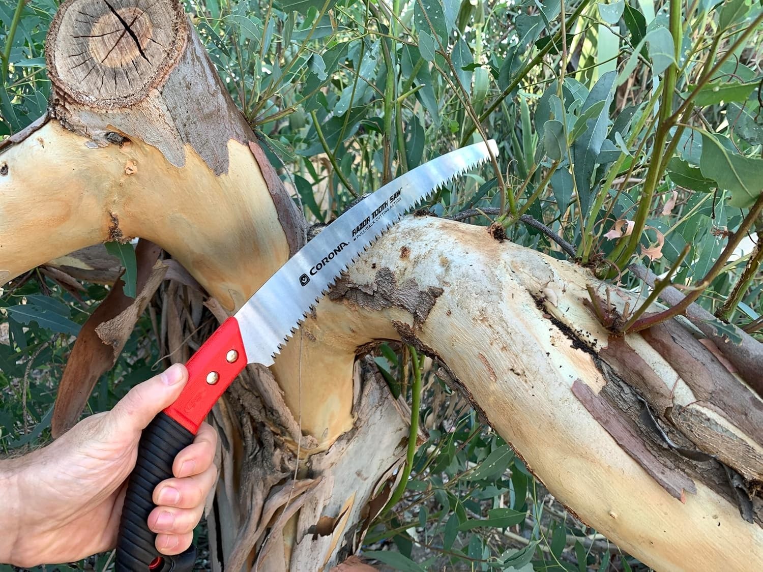 Tools 13-Inch RazorTOOTH Pruning Saw | Tree Saw Designed for Single-Hand