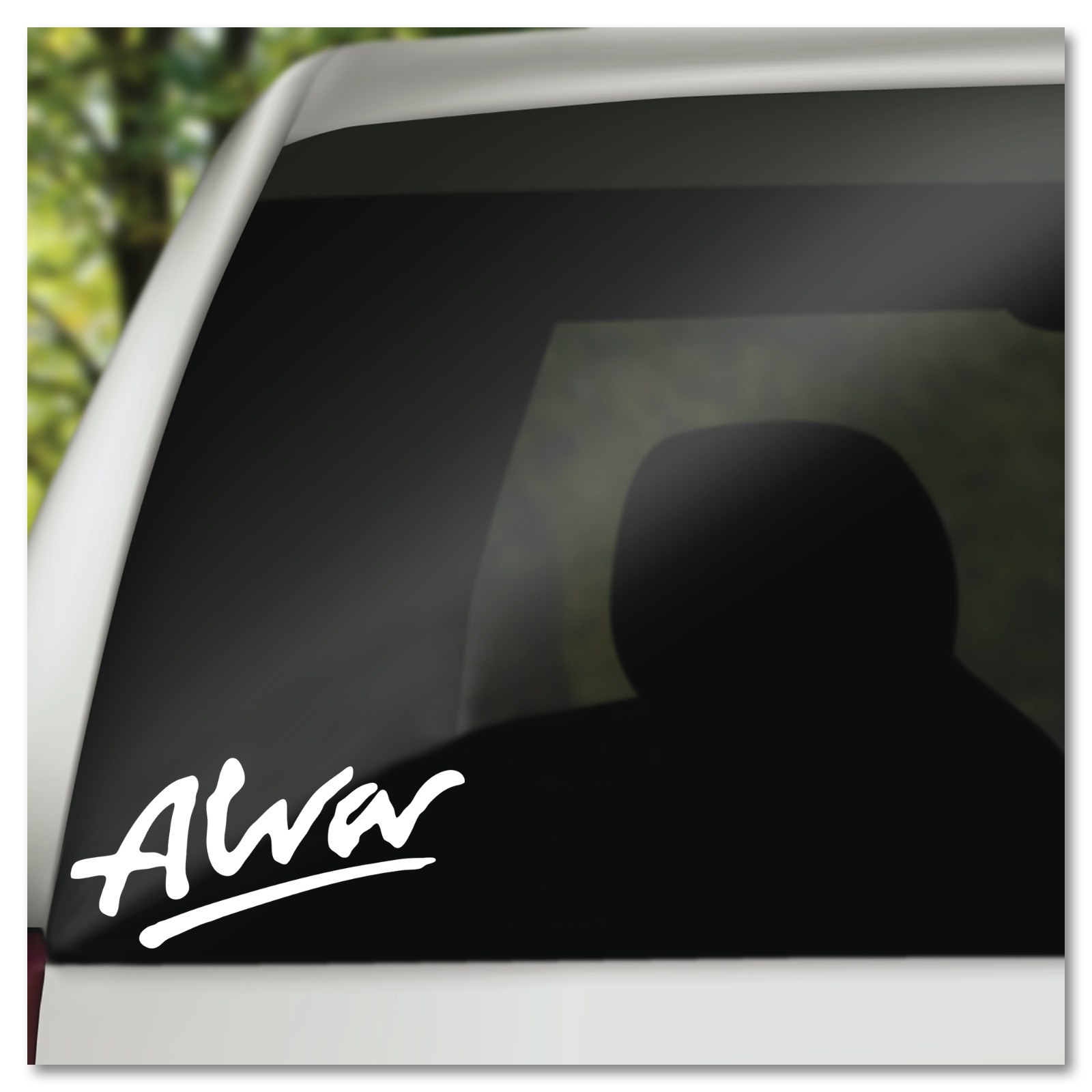 6″ Steve Alva Skateboard Vinyl Decal Sticker