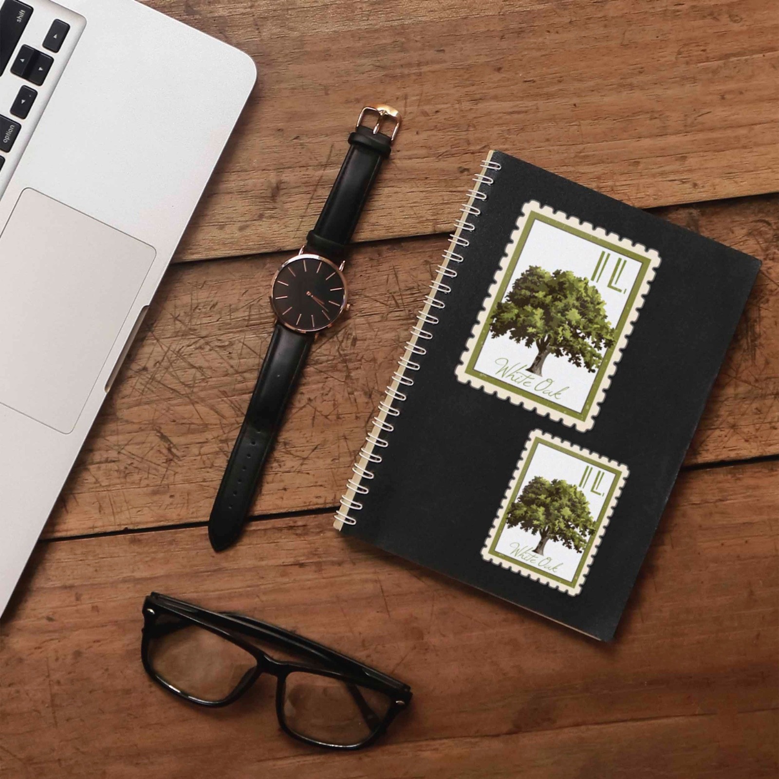 Illinois State Tree White Oak Sticker – IL Vintage Stamp Decal