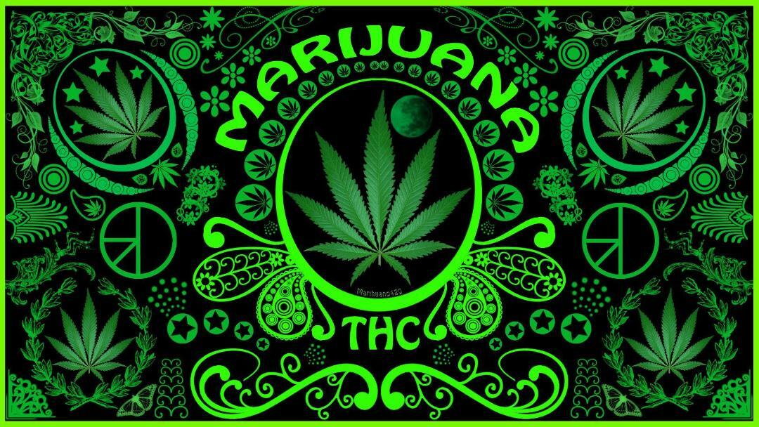 Marijuana THC Pot Leaf Cannabis Vinyl Decal Sticker 420 Marijuana Weed 3.75″x7.5