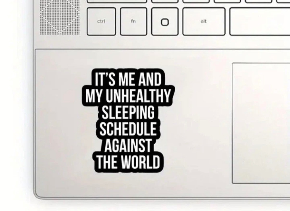 It’s Me and My Unhealthy Sleeping Schedule Against the World Vinyl Decal NEW