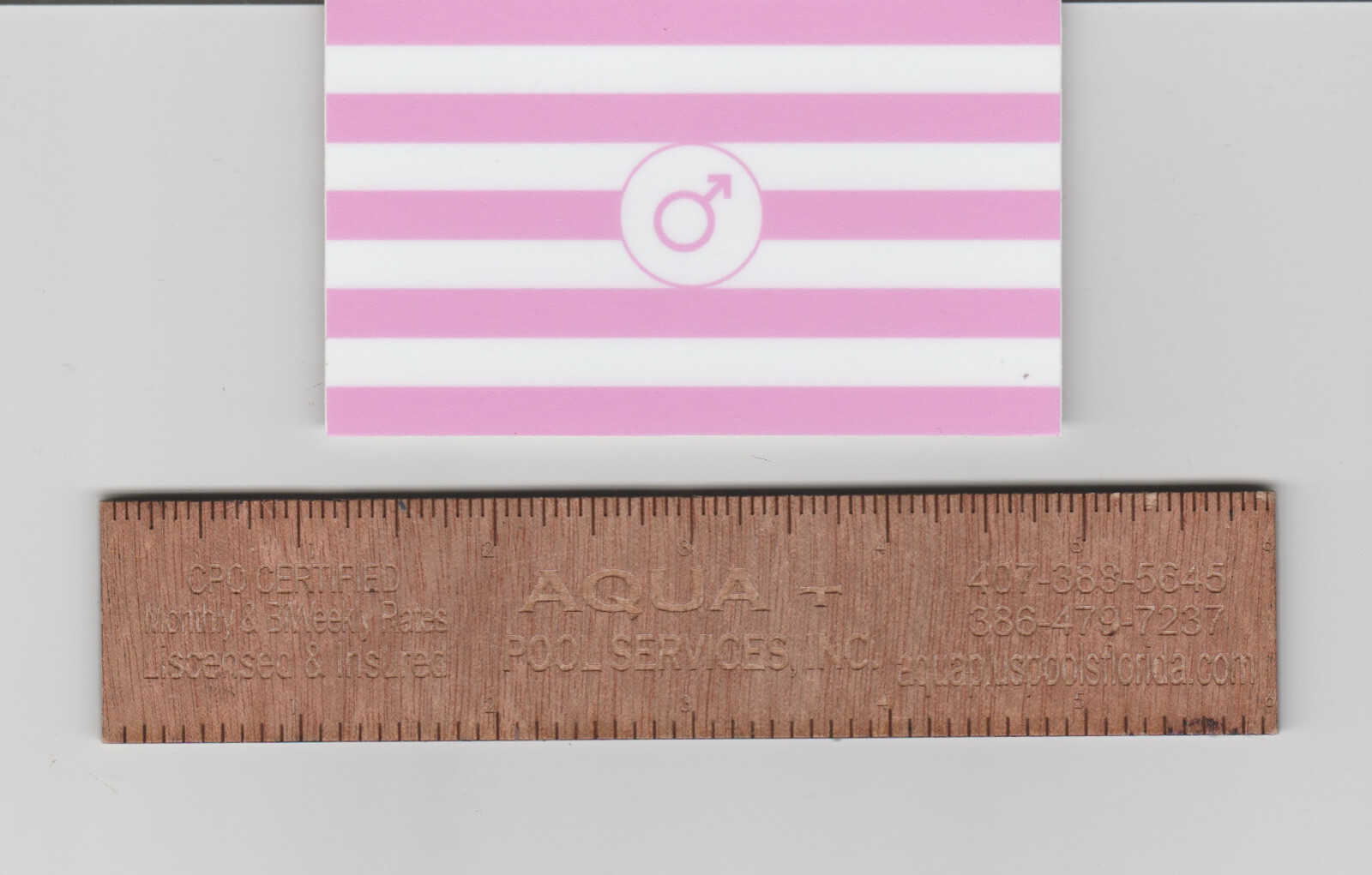 Sissy Pride Flag Sticker/Decal (Transgender, LGBTQ) 3.75″ x 2.25″