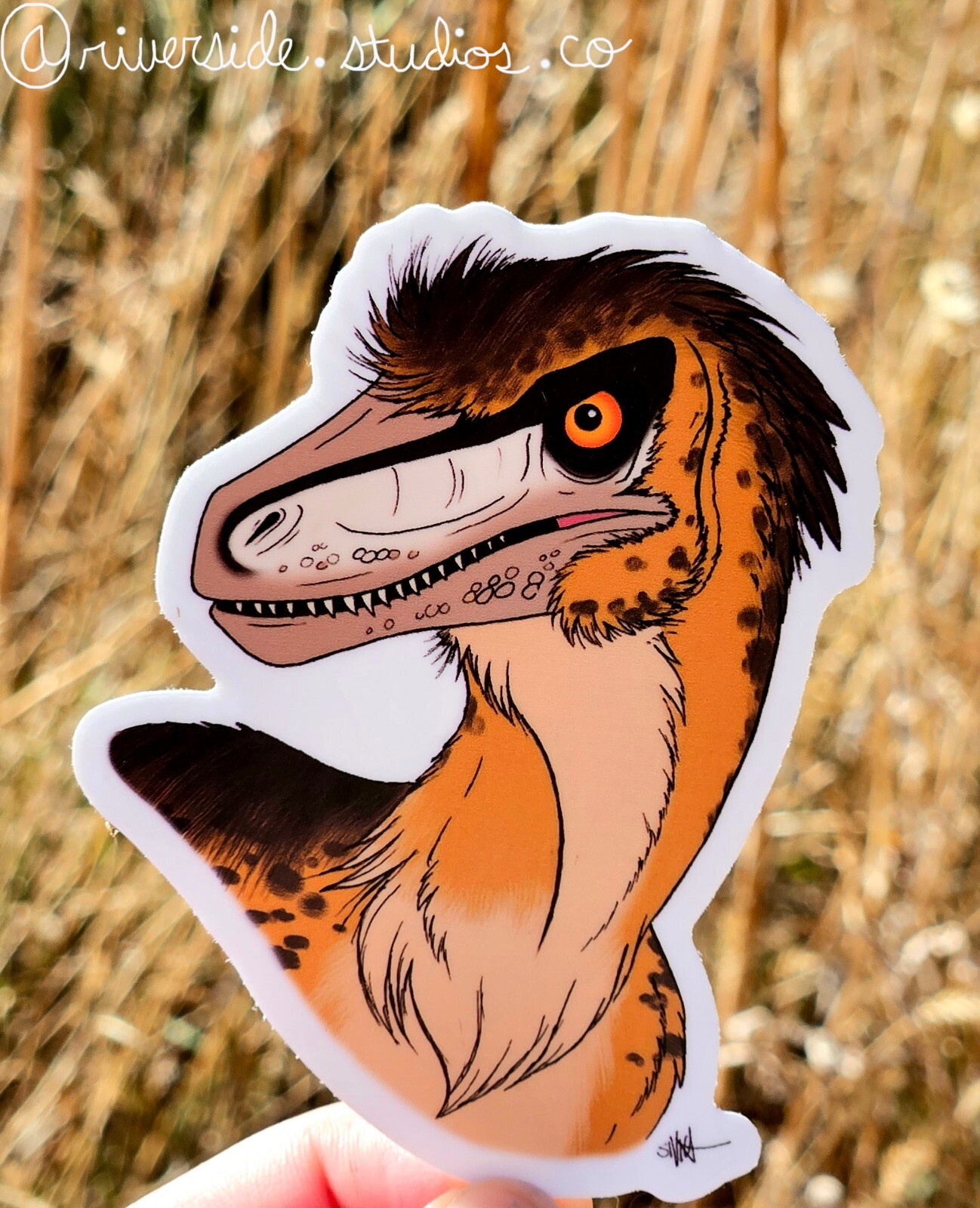 Dakotaraptor Vinyl Sticker 3″ Original Paleoart Dinosaur Jurassic Park