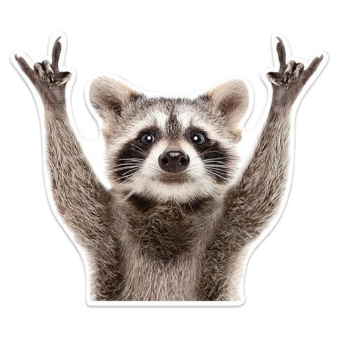 Rocking Raccoon Car Sticker Decal, Vinyl Waterproof Window Bumper Stickers, 1PC