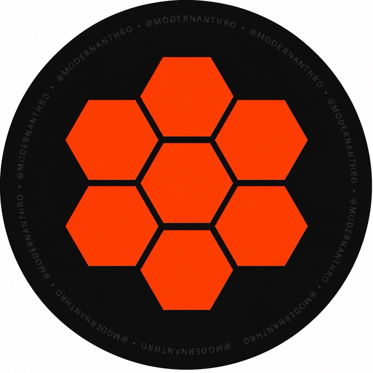 Boards of Canada Inferno Hex Logo Vinyl Sticker 3×3 BoC IDM Ambient Spelling Bee