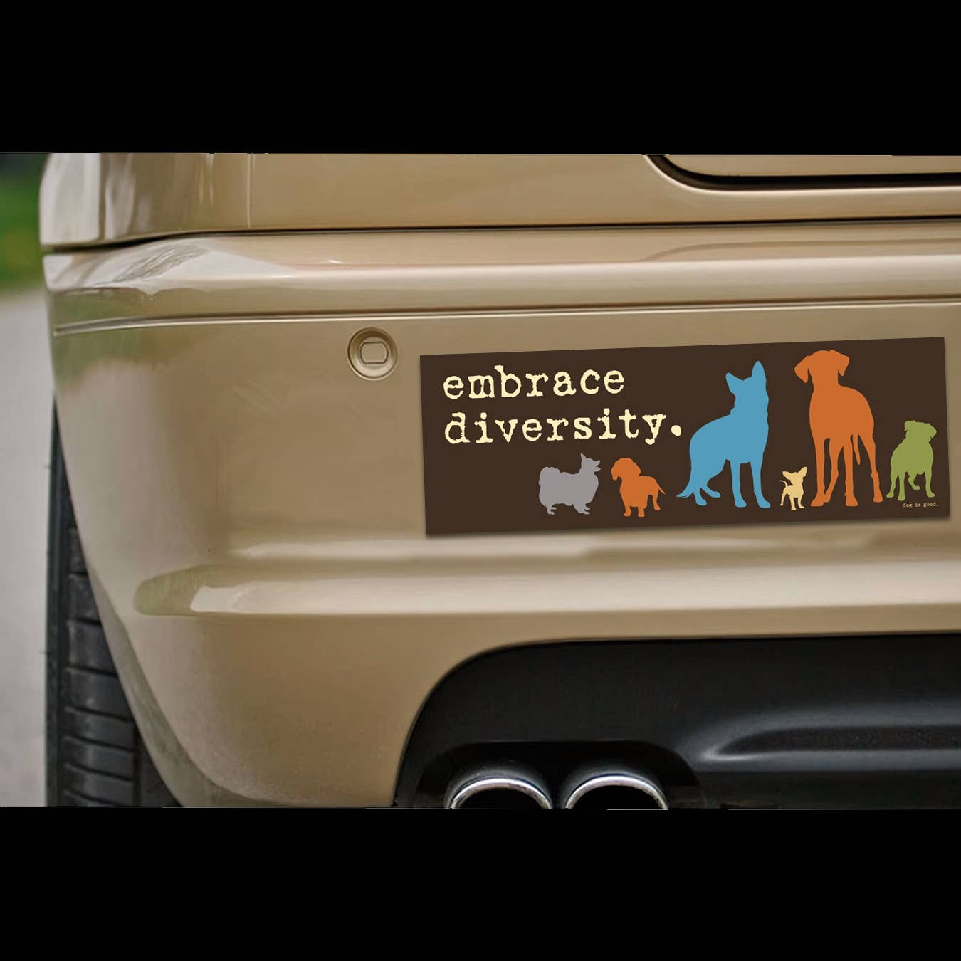 “Embrace Diversity” 🐶🐕😹 Funny Animal Bumper Car Fridge Magnet | Made in USA