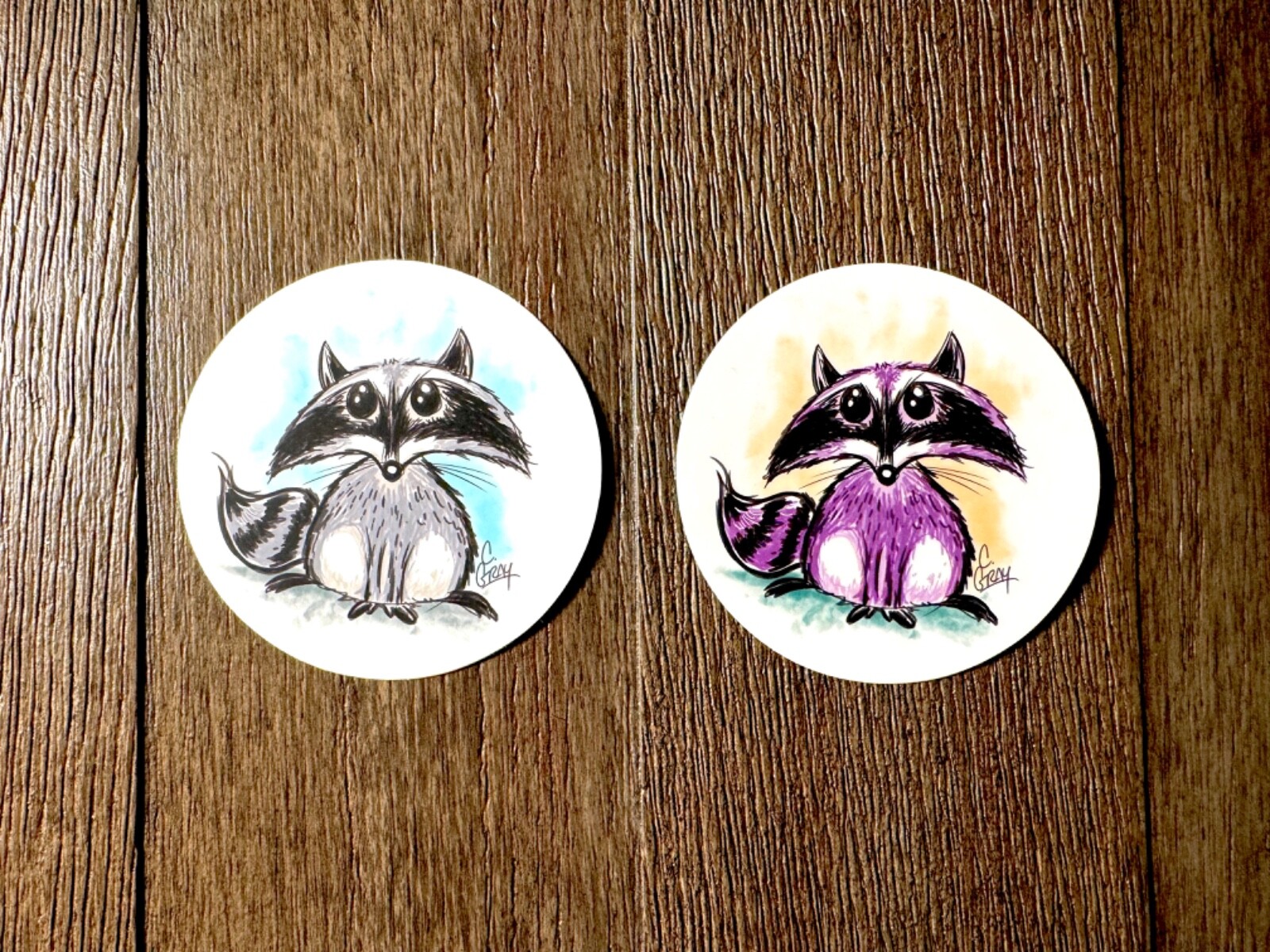 3″ Raccoon Trash Panda Decal Vinyl Sticker Wildlife Coon Cute Garbage Animal Can