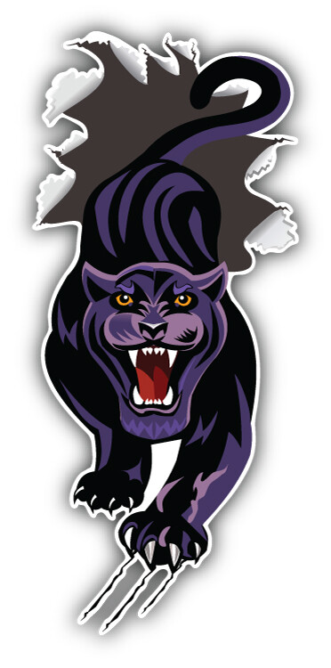 Panther Breakthrough Paper Car Bumper Sticker Decal ”SIZES”