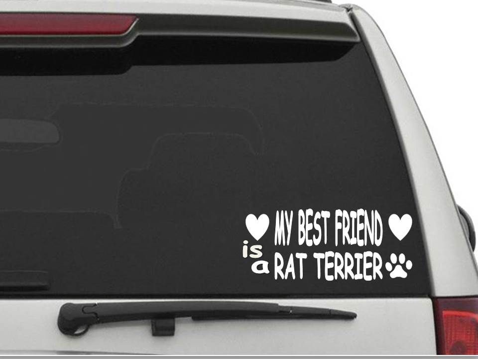 MY BEST FRIEND IS A RAT TERRIER Decal Sticker CW1001
