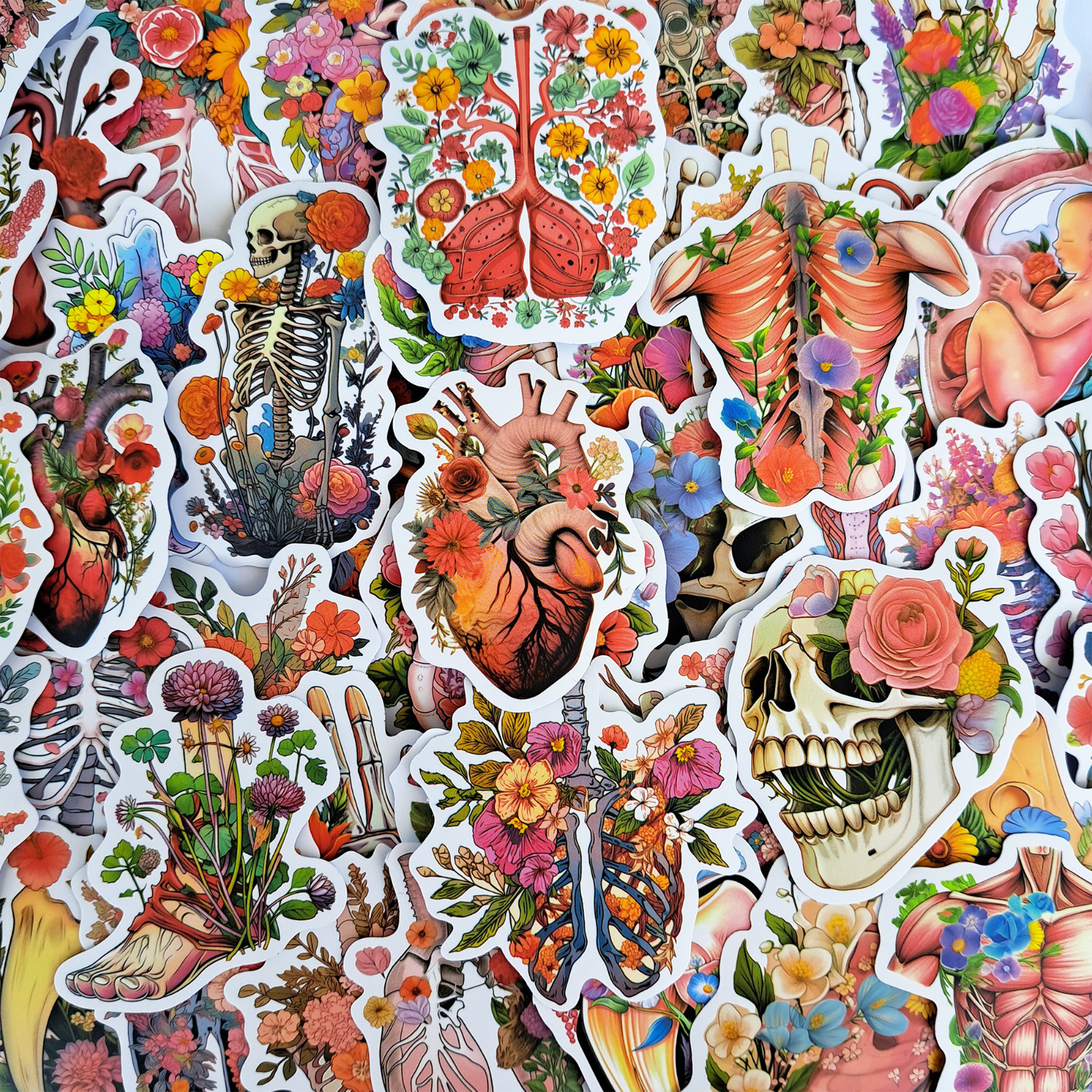 50 PCS Anatomy Floral Sticker Pack Human Body Skeleton Muscular System Medical