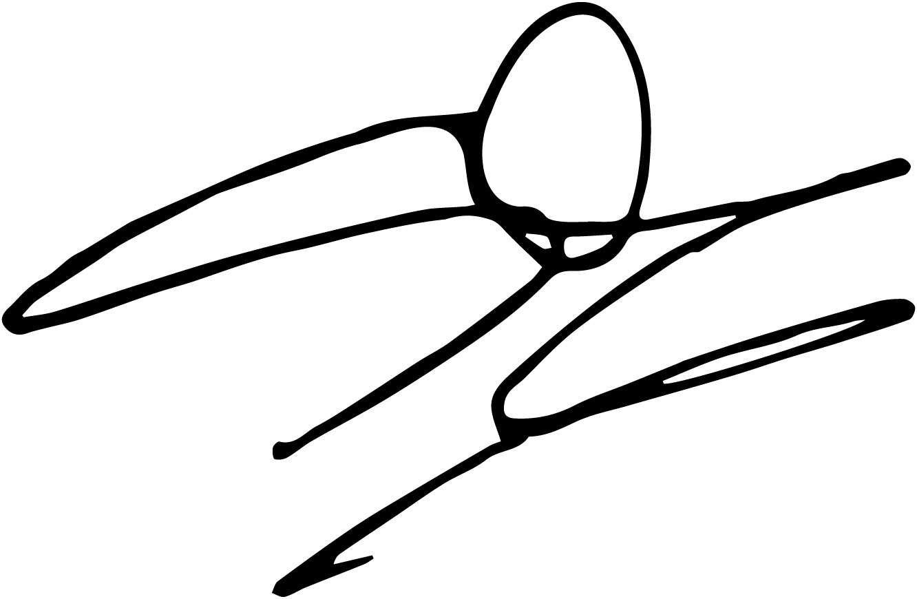 Steve Harwell autograph VINYL DECAL sticker smash mouth shrek some body once