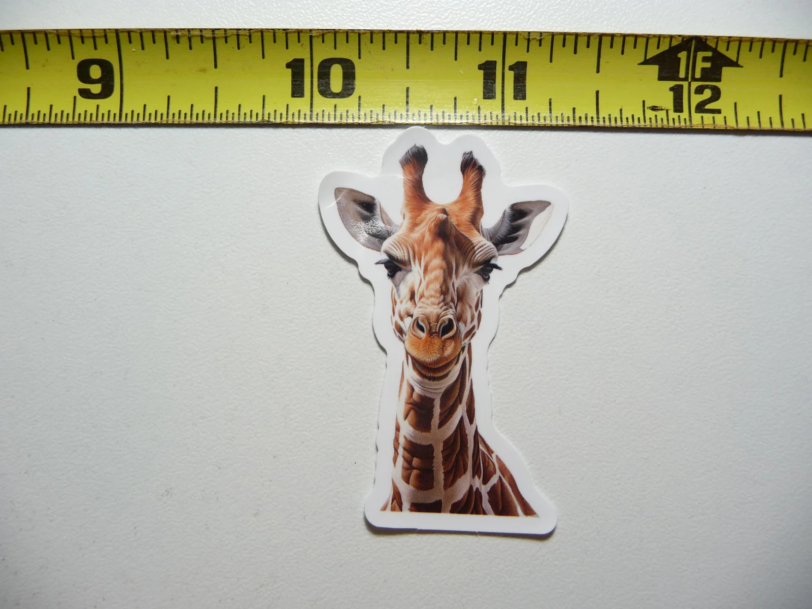GIRAFFE HEAD POSE SMALL STICKER DECAL WILDLIFE PRESERVE NATURE ANIMAL