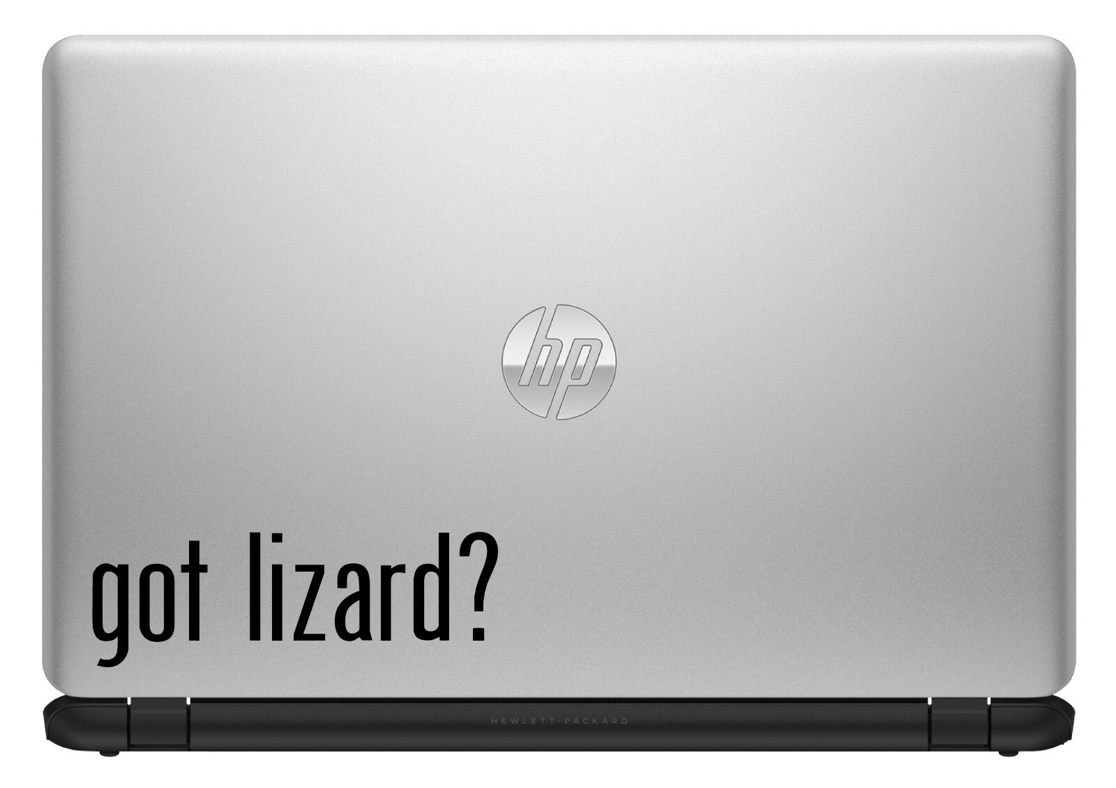 Got Lizard? Custom Vinyl Sticker / Decal Reptile, Exotic Pets, Iguana