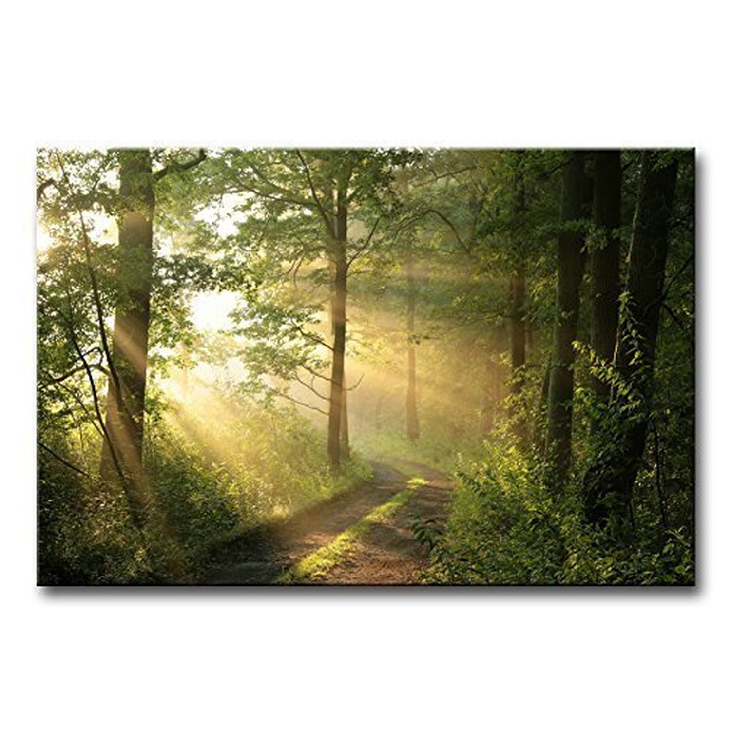 Forest Wall Art Nature Modern Canvas Painting The Picture for Home Decoration…