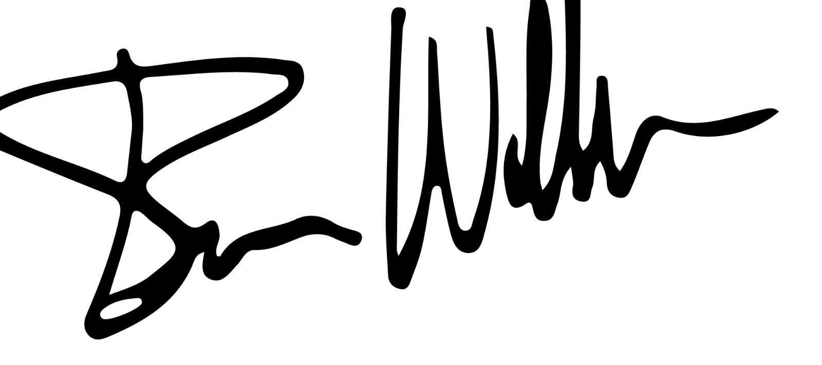 Bruce Willis vinyl decal sticker autograph signature pulp fiction sixth sense