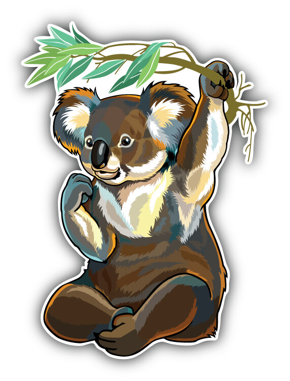 Koala Bear Car Bumper Sticker Decal “SIZES”