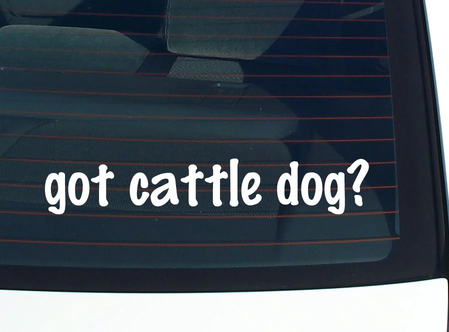 got cattle dog? CAR DECAL BUMPER STICKER VINYL FUNNY JOKE WINDOW