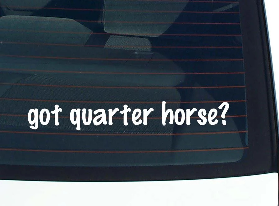 got quarter horse? CAR DECAL BUMPER STICKER VINYL FUNNY JOKE WINDOW