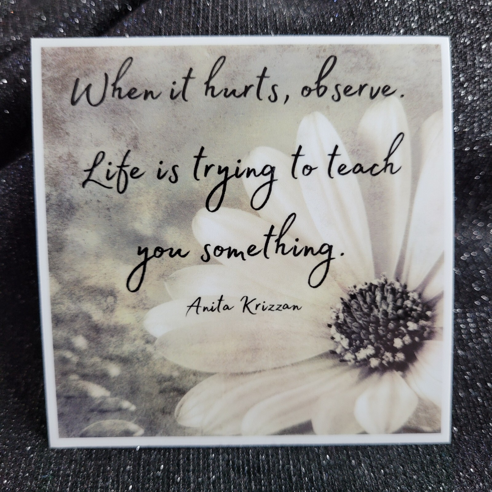 STKR015 Inspire Motivate Life Quote Sticker – Observe Teaching Hurt Learn Teach
