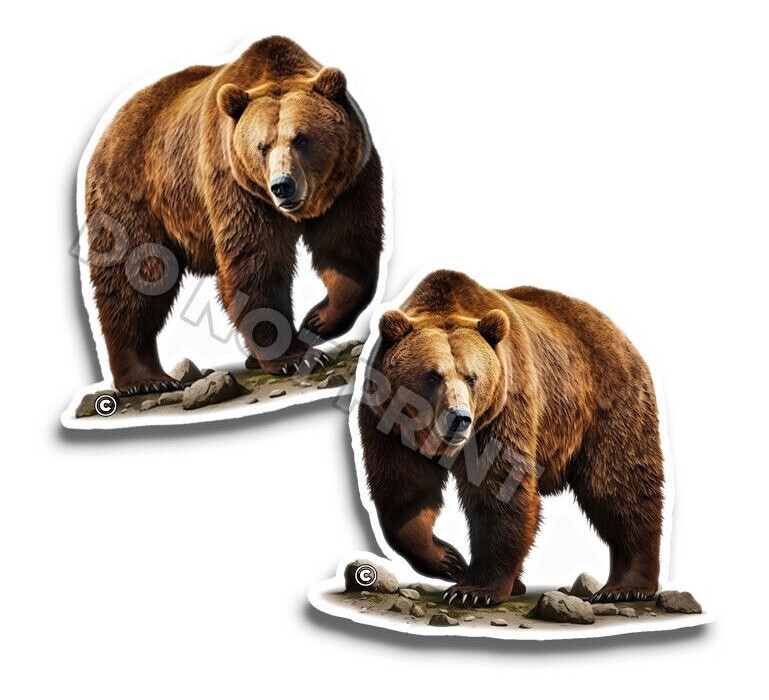 BEAR Vinyl Stickers Grizzly NATURE Great Outdoors ANIMAL DECALS C35001 2 Pack