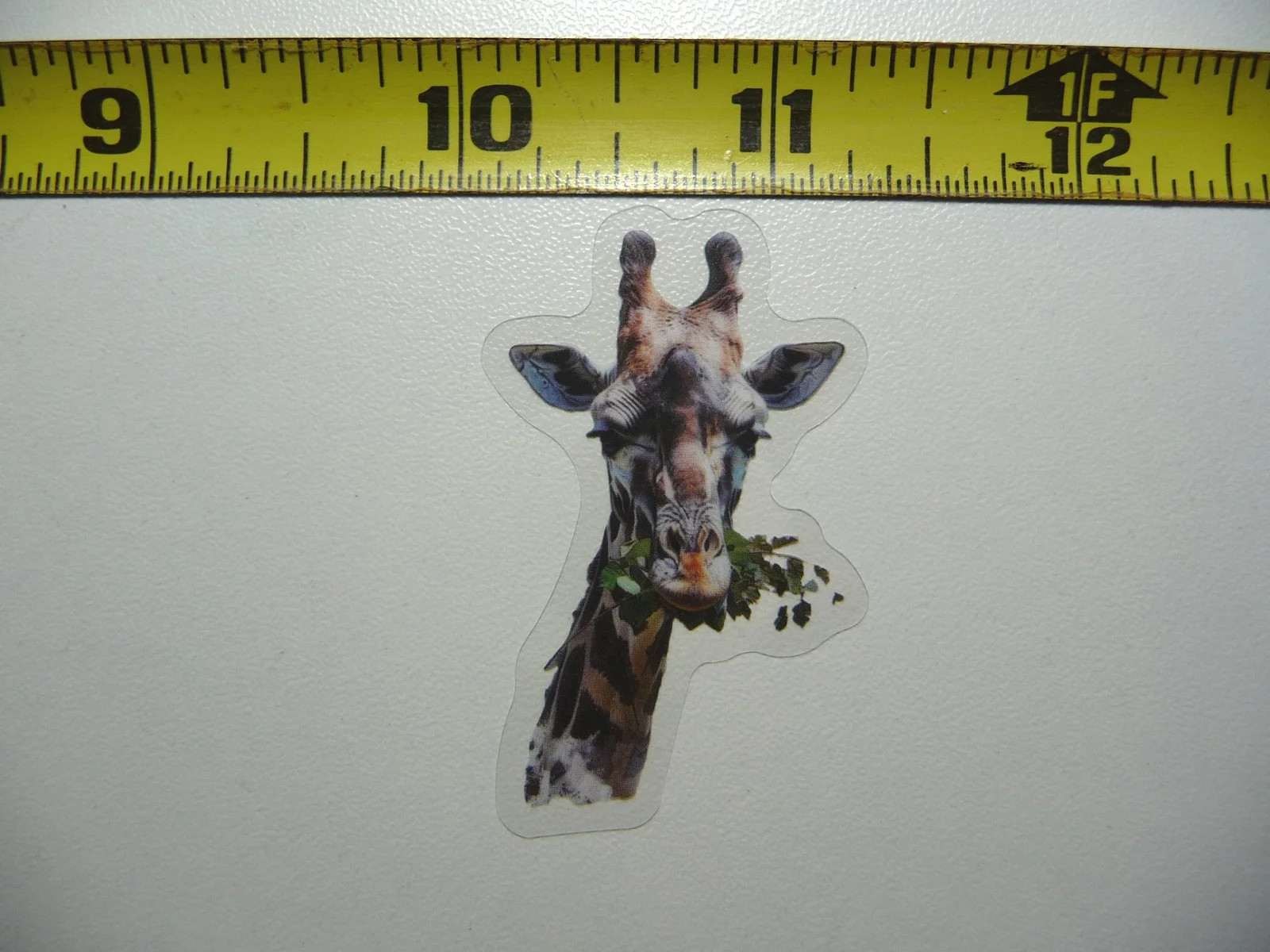GIRAFFE EATING SMALL STICKER DECAL WILDLIFE COLORFUL ZOO FUNNY