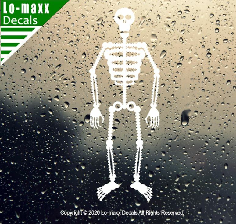 Cool Skeleton Art Original Graphic Design High Quality Die Cut Vinyl Decal