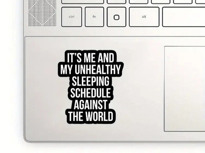 It’s Me and My Unhealthy Sleeping Schedule Against the World Vinyl Decal